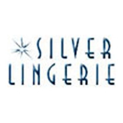 Silver lingerie